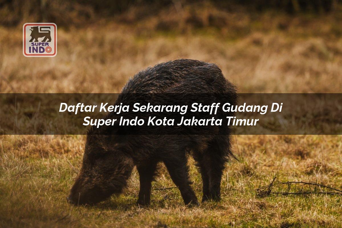 Daftar Kerja Sekarang Staff Gudang di Super Indo Kota Jakarta Timur