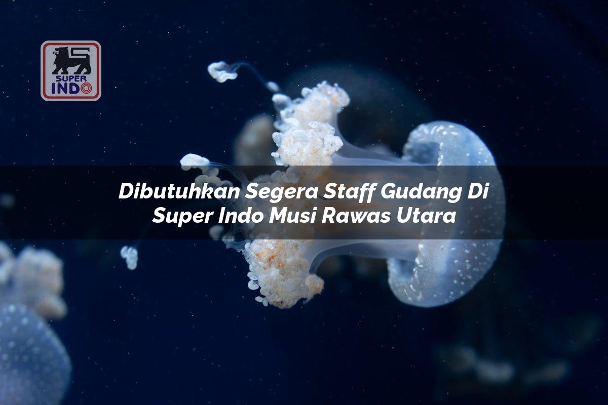Dibutuhkan Segera Staff Gudang di Super Indo Musi Rawas Utara