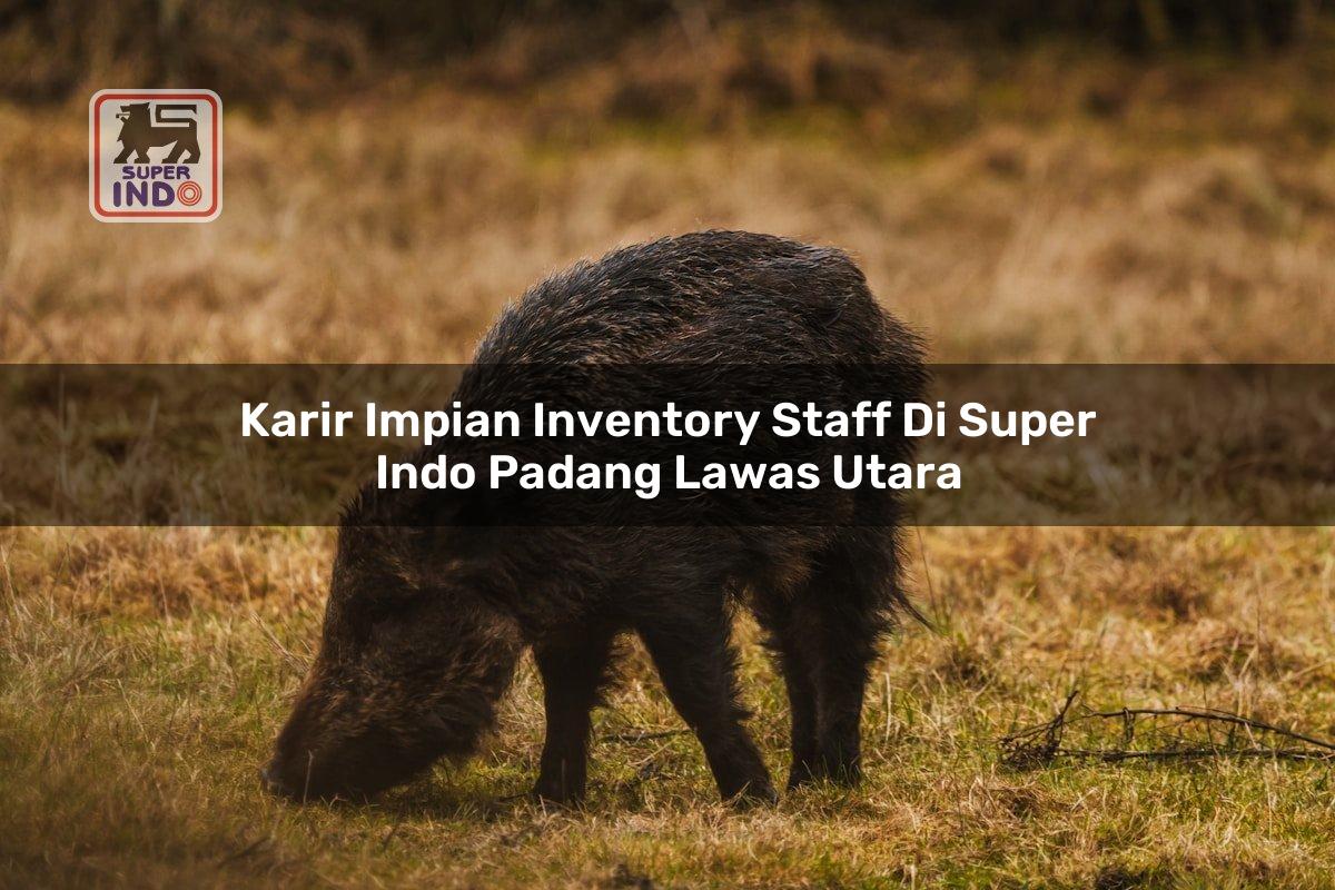 Karir Impian Inventory Staff di Super Indo Padang Lawas Utara