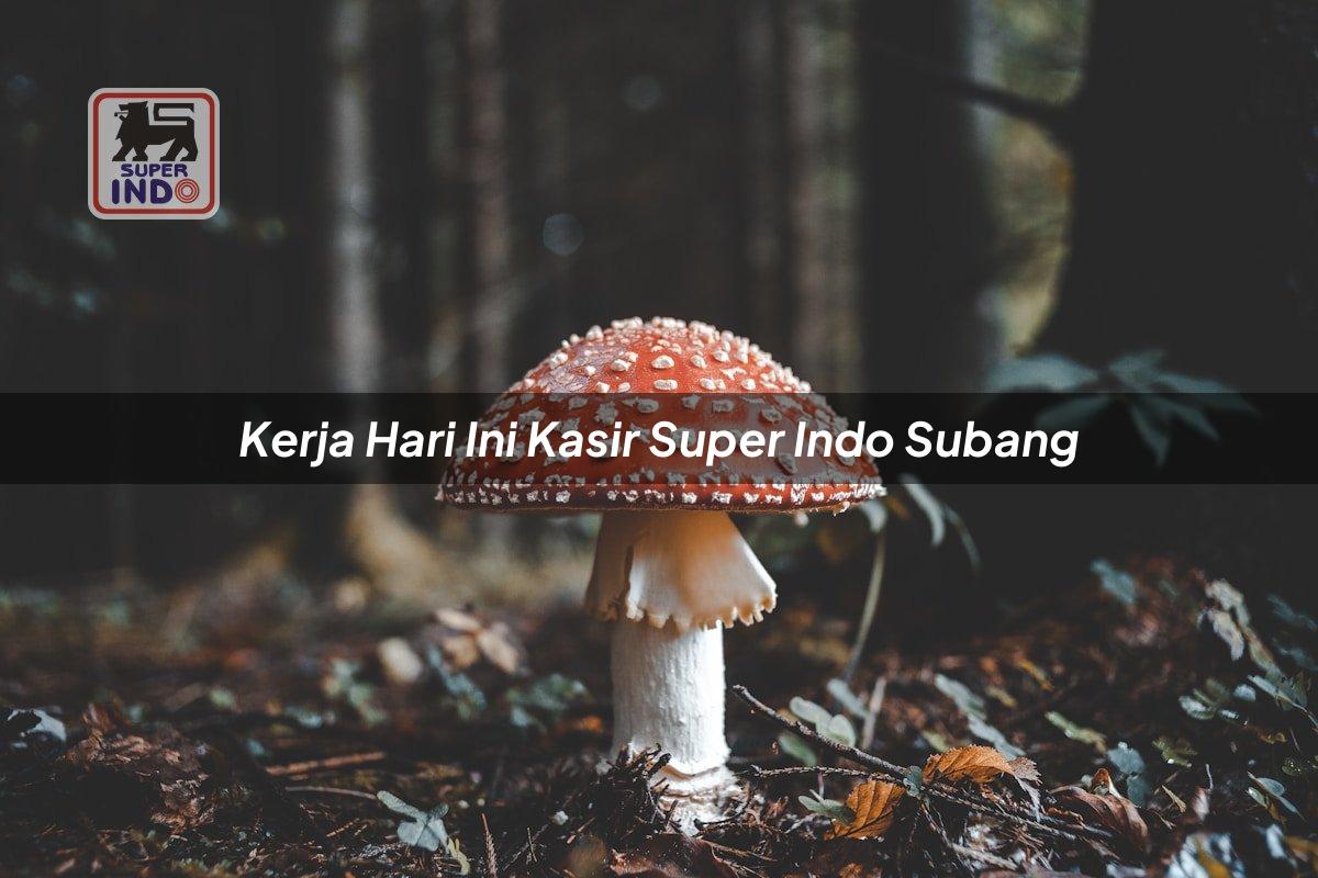 Kerja Hari Ini Kasir Super Indo , Subang