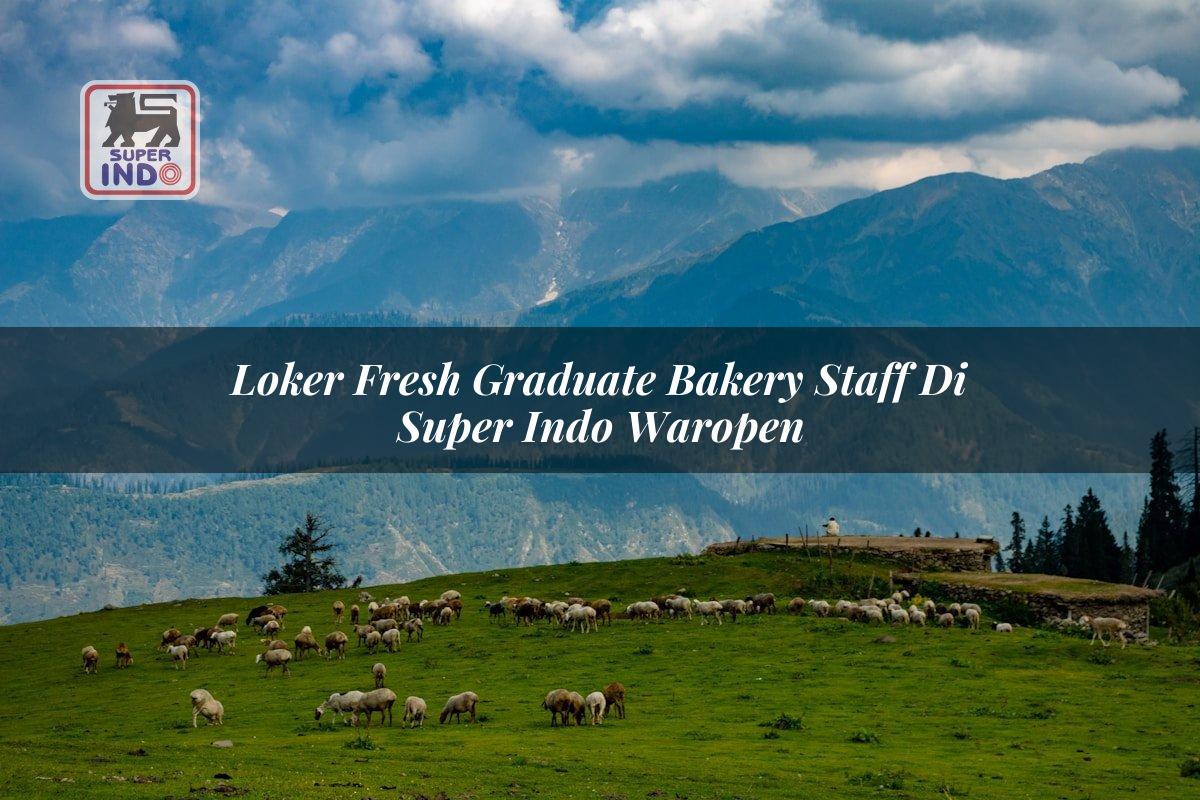 Loker Fresh Graduate Bakery Staff di Super Indo Waropen