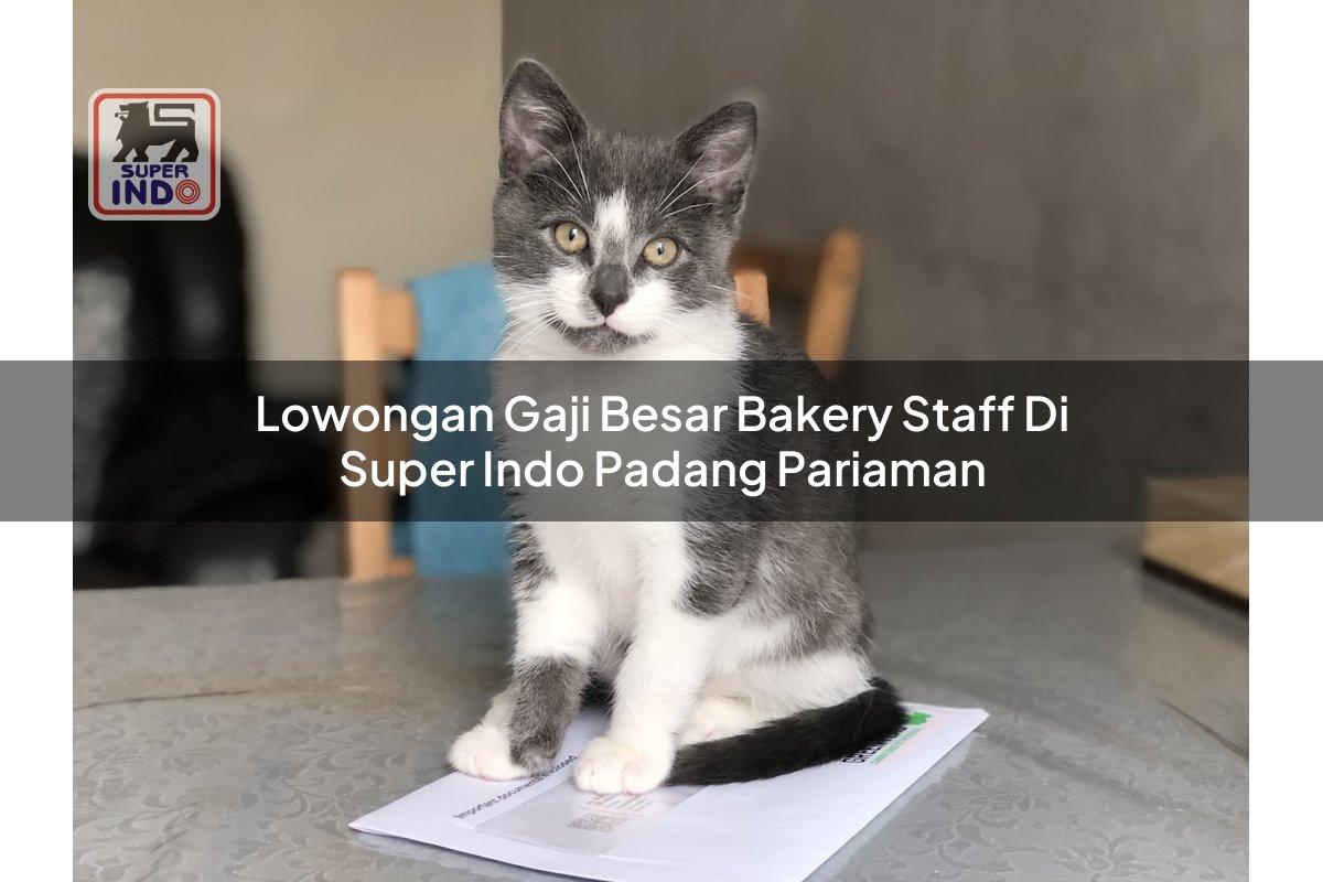Lowongan Gaji Besar Bakery Staff di Super Indo Padang Pariaman
