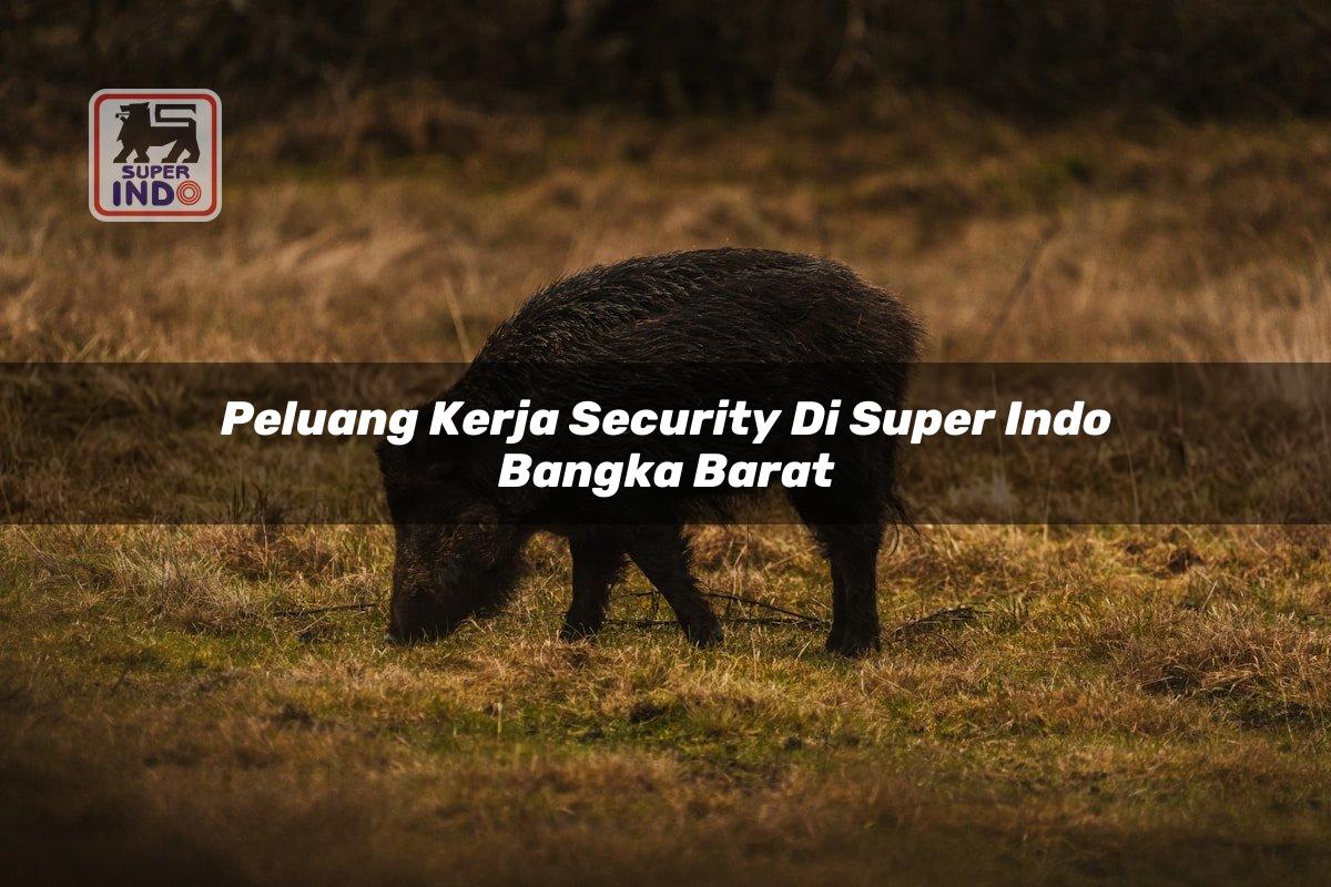Peluang Kerja Security di Super Indo Bangka Barat