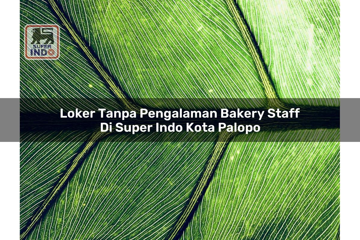 Loker Tanpa Pengalaman Bakery Staff di Super Indo Kota Palopo