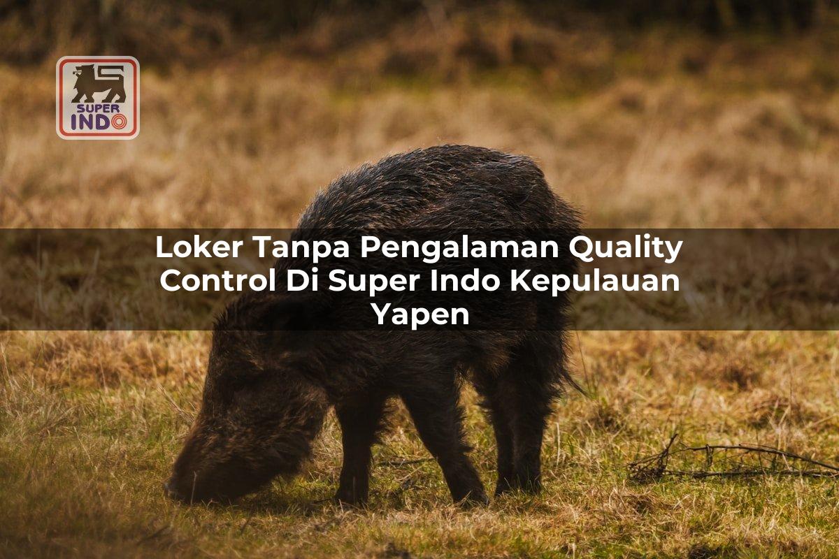 Loker Tanpa Pengalaman Quality Control di Super Indo Kepulauan Yapen