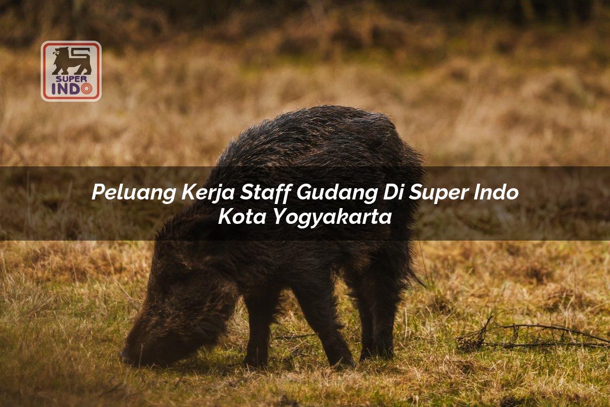 Peluang Kerja Staff Gudang di Super Indo Kota Yogyakarta