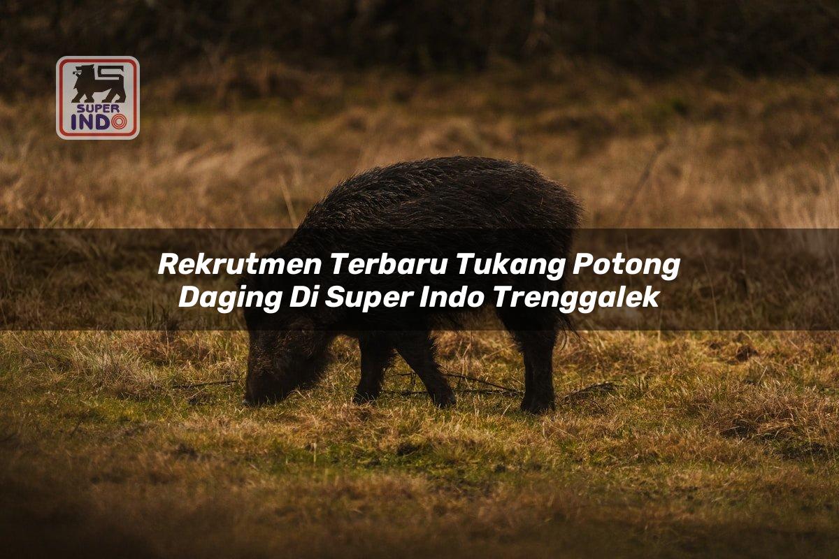 Rekrutmen Terbaru Tukang Potong Daging di Super Indo Trenggalek